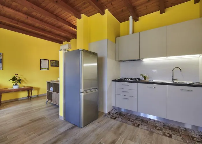 Casa Della Musica View And Garden