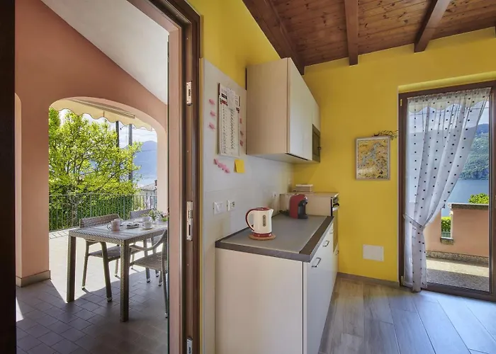 Casa Della Musica View And Garden