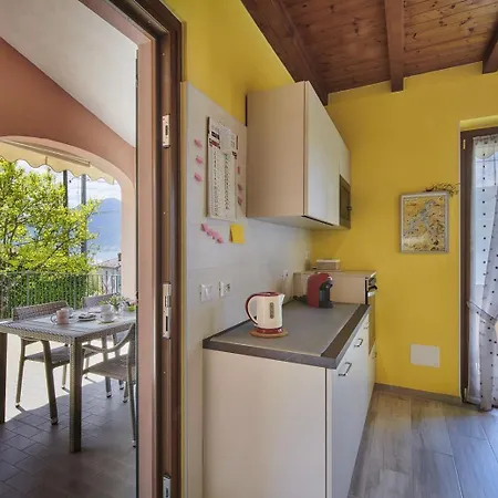 Casa Della Musica View And Garden